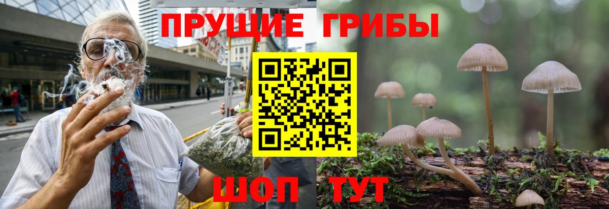Псилоцибиновые грибы MAGIC MUSHROOMS  Галлюциногенные грибы ЛСД  Ижевск  Вход с VPN 